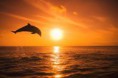 Sunset and dolphins